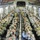 Paratroopers with the 82nd Airborne Division from Fort Bragg, North Carolina sit aboard a C-17 Globemaster III from the 249th Airlift Squadron, Alaska Air National Guard during a joint airborne air transportability training mission in 2016. (US Air Force)
